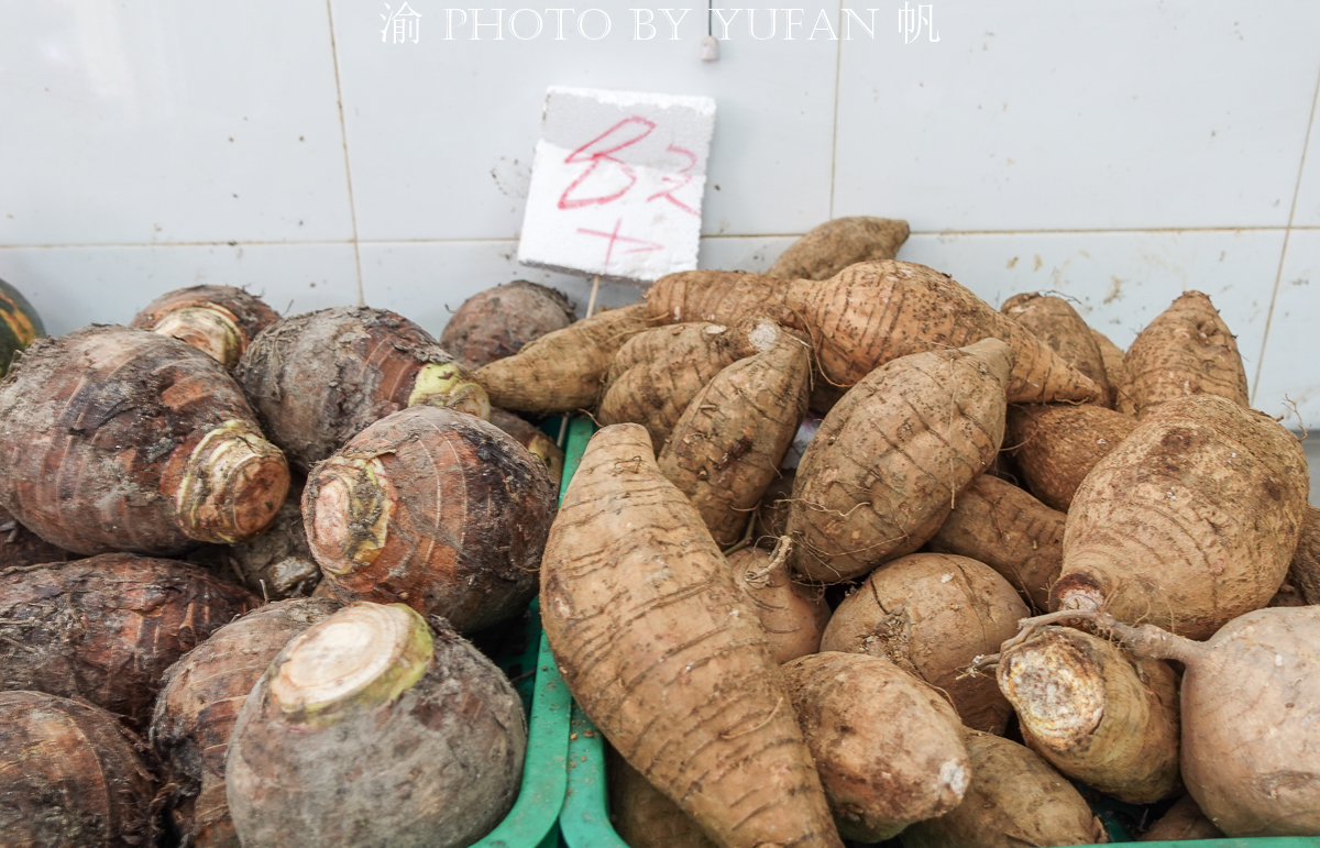 澳门值得逛的菜市场,澳门老街菜市场