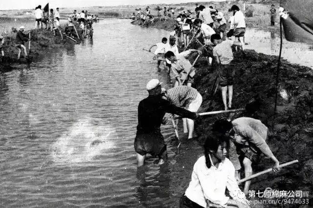 建设兵团1974年老照片,生产建设兵团老照片