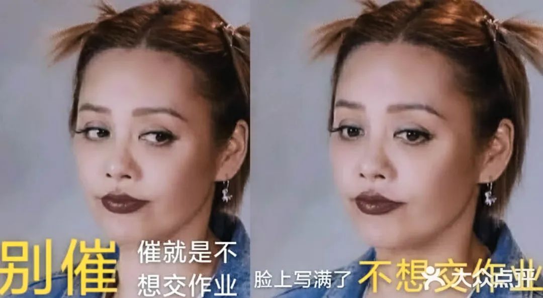 宁静牌猪饲料,宁静猪饲料视频