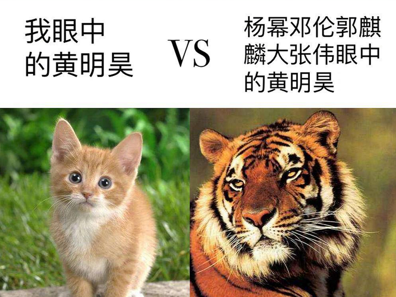 justin成为了什么的代言人,justin潮牌