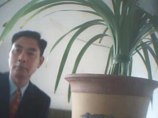 诗词的成语300个带解释,诗词中的成语