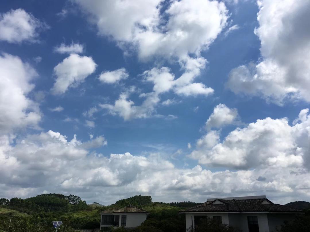 字节跳动的这七年,差点就放弃