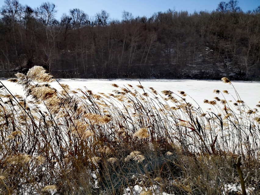 草原尽头的姑娘湖