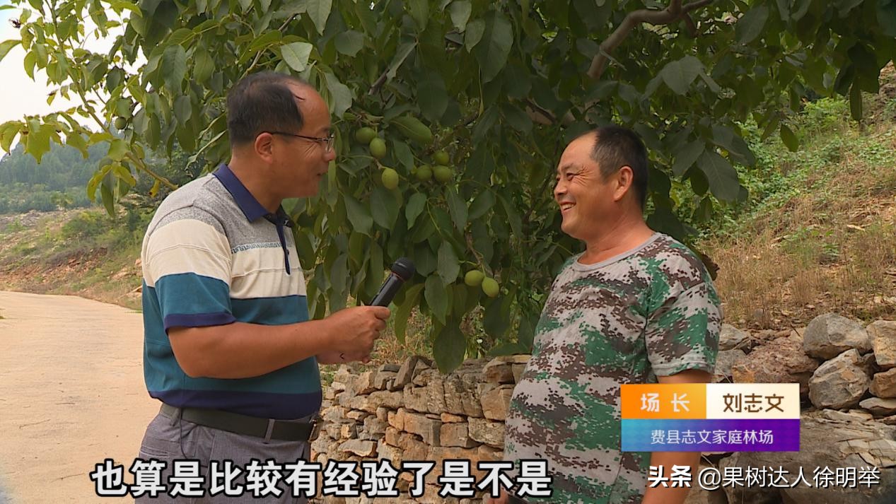 老徐谈农业好视频,老徐带你逛果园