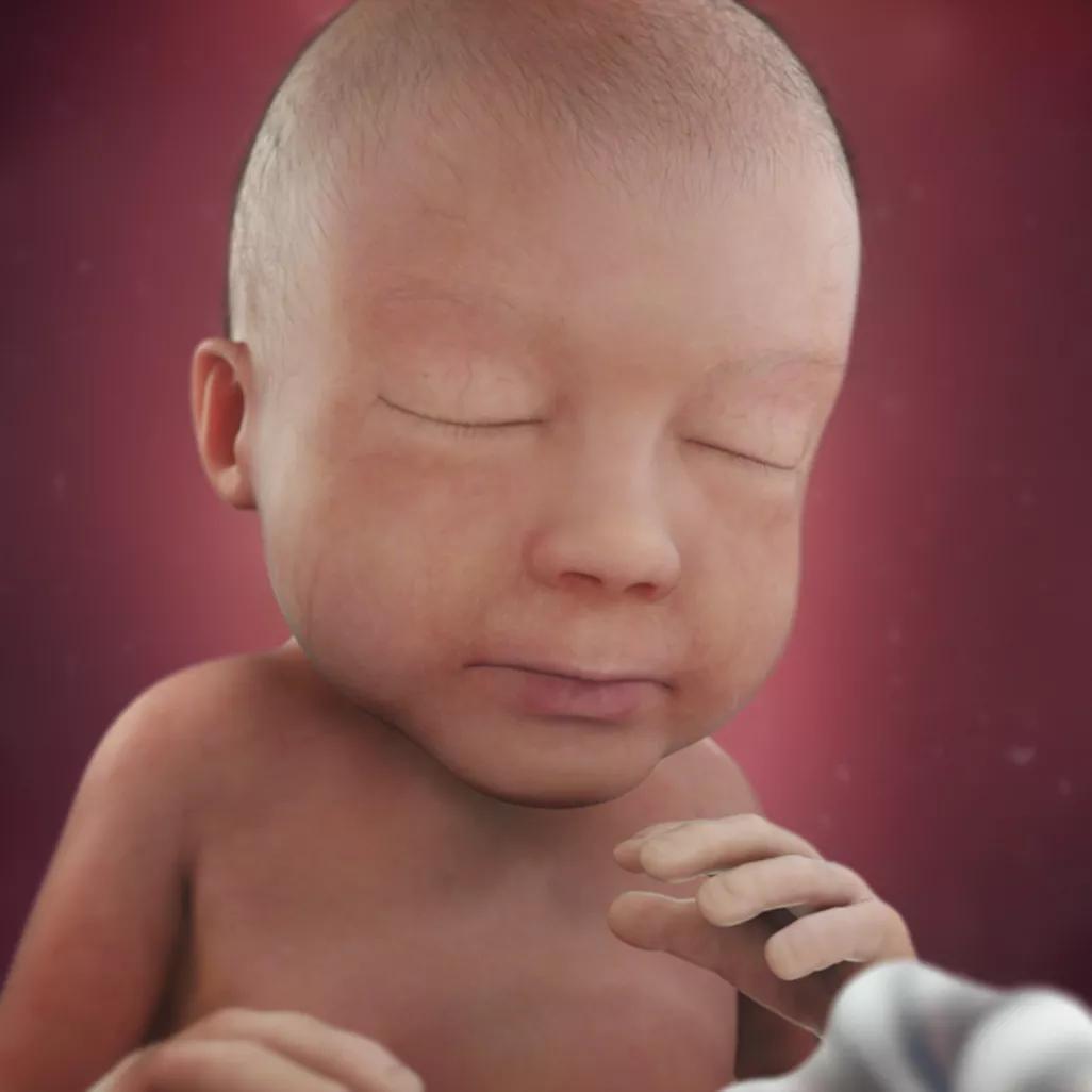 怀孕40周胎宝宝每周长什么样,怀孕40周胎停什么原因