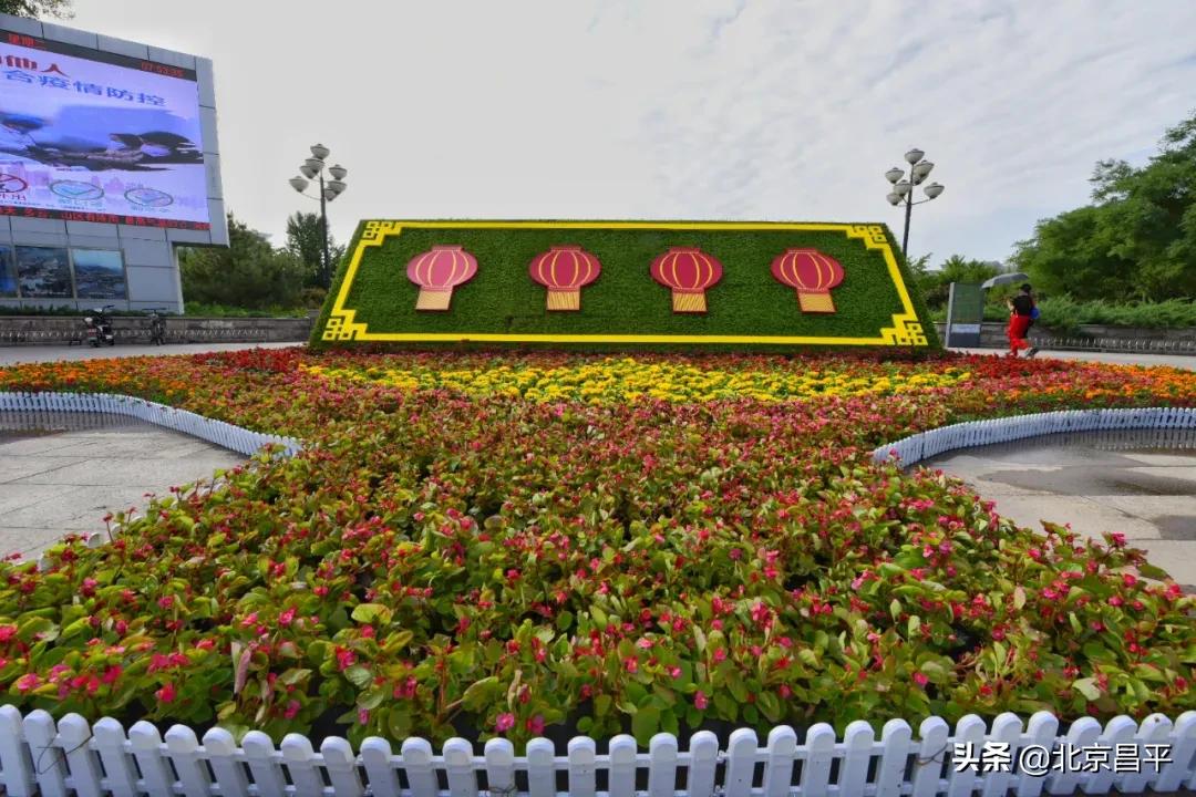 北京庆七一花坛摆放图片,北京长安街迎国庆立体花坛亮相