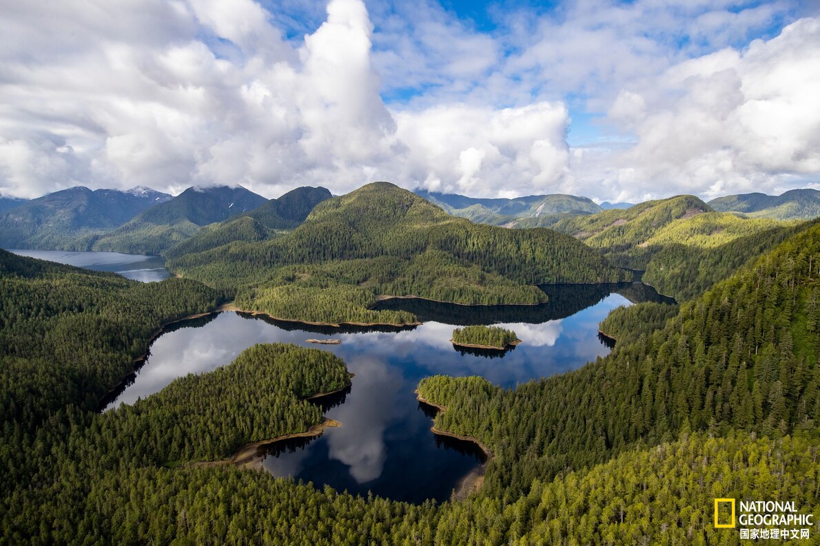 脆弱的旅游业,脆弱的旅行