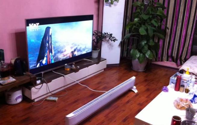 油汀和踢脚线取暖器哪个好,电油汀取暖器和踢脚线取暖器哪个好