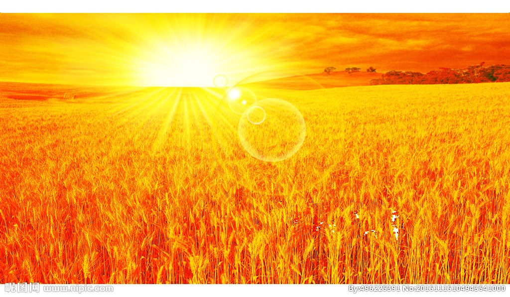 一个死亡率比出生率高出20%的地方——《切尔洛贝利的悲鸣》