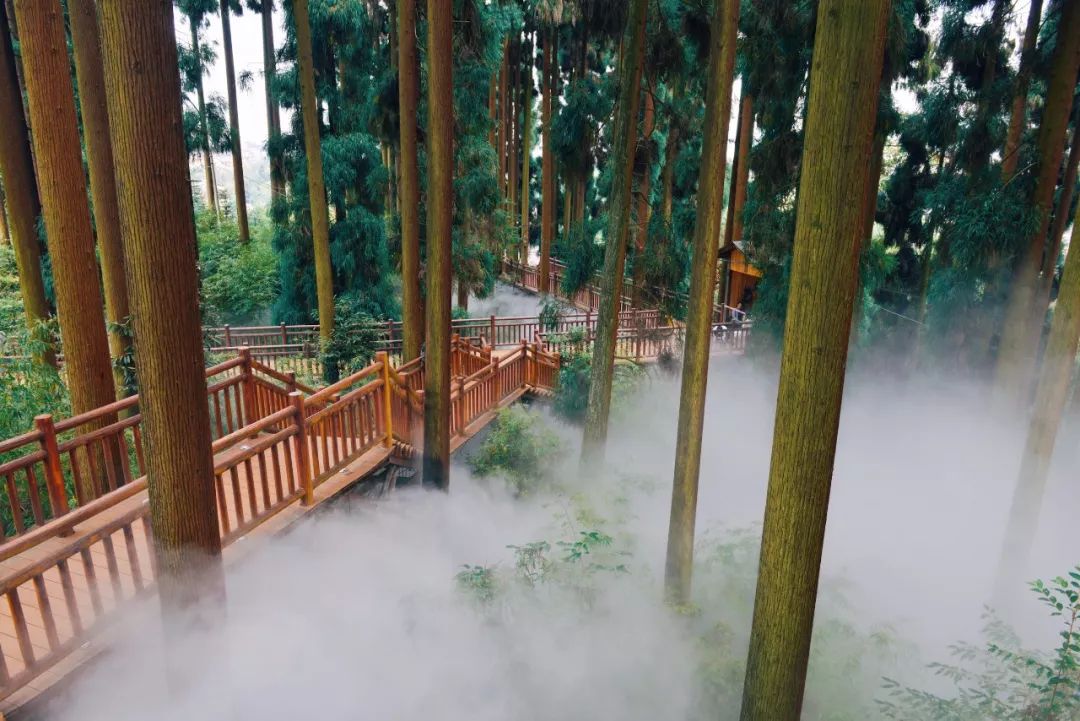 七里坪亲子跑,一场亲子健康跑触动了心灵深处