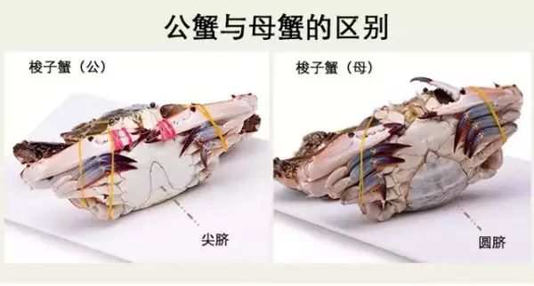 连云港连海海鲜推荐,开海海鲜连云港