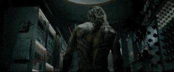 海王，D杯美少女