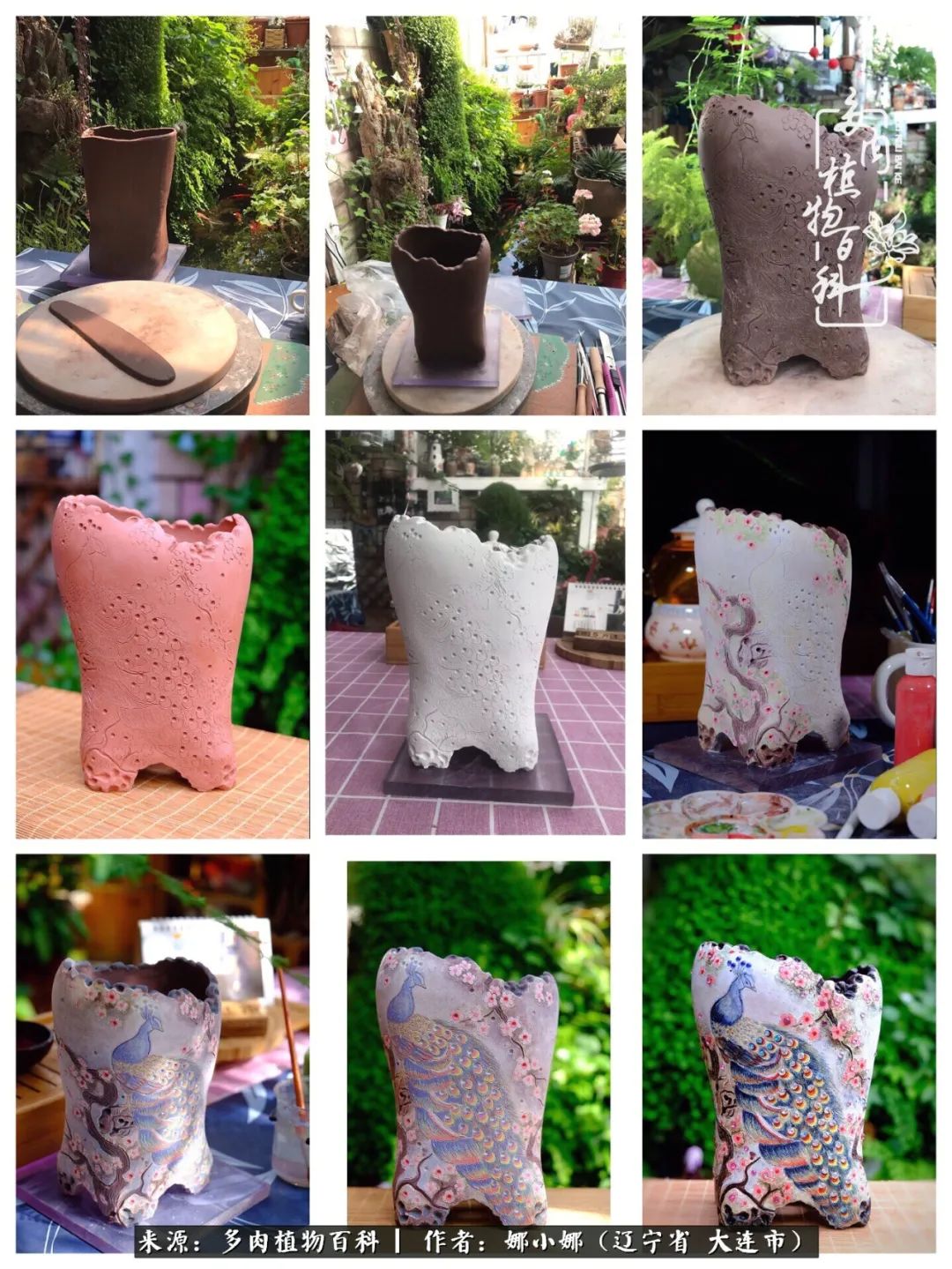 你是盆我是花，你护我周全，我为你绽放