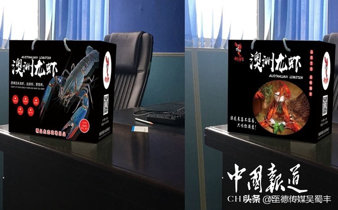 渝北澳洲淡水龙虾,上海澳洲淡水龙虾