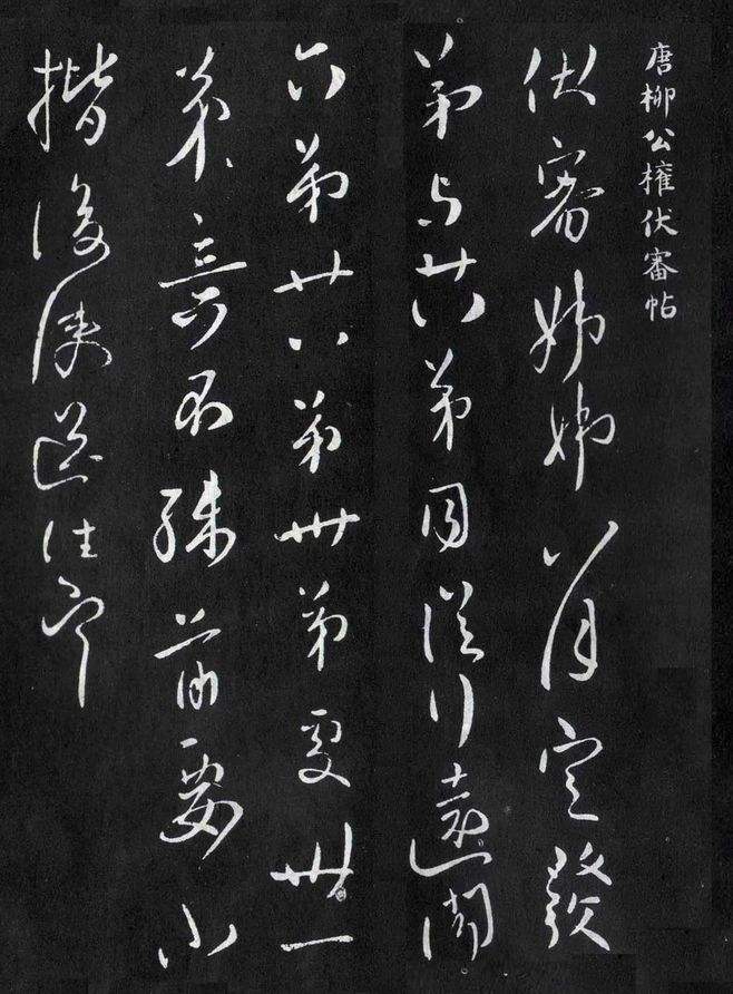 中国楷书四大家柳公权的故事 (楷书四大家族中柳公权的故事)