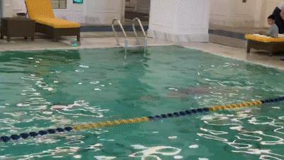 初学游泳有游泳圈,初学游泳浮起来了游不走