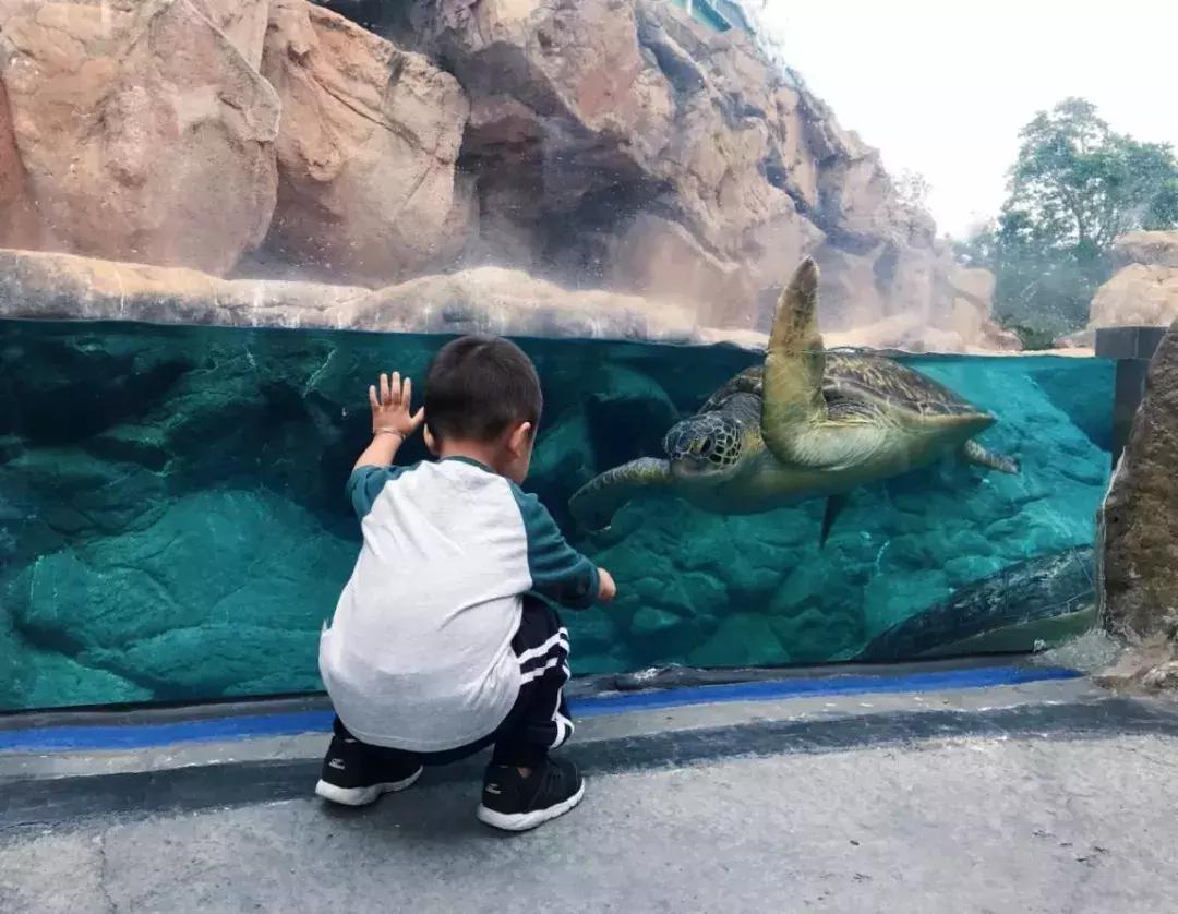 珠海长隆亲子游攻略三天两夜,珠海长隆亲子游最佳攻略