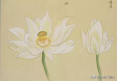 人民日报120个常被误用错写的成语,易被误用成语300例解释