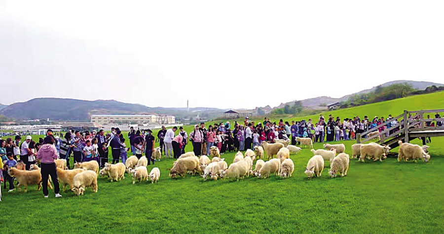 中国最火十大景区排名大连,东北最好的景区排名
