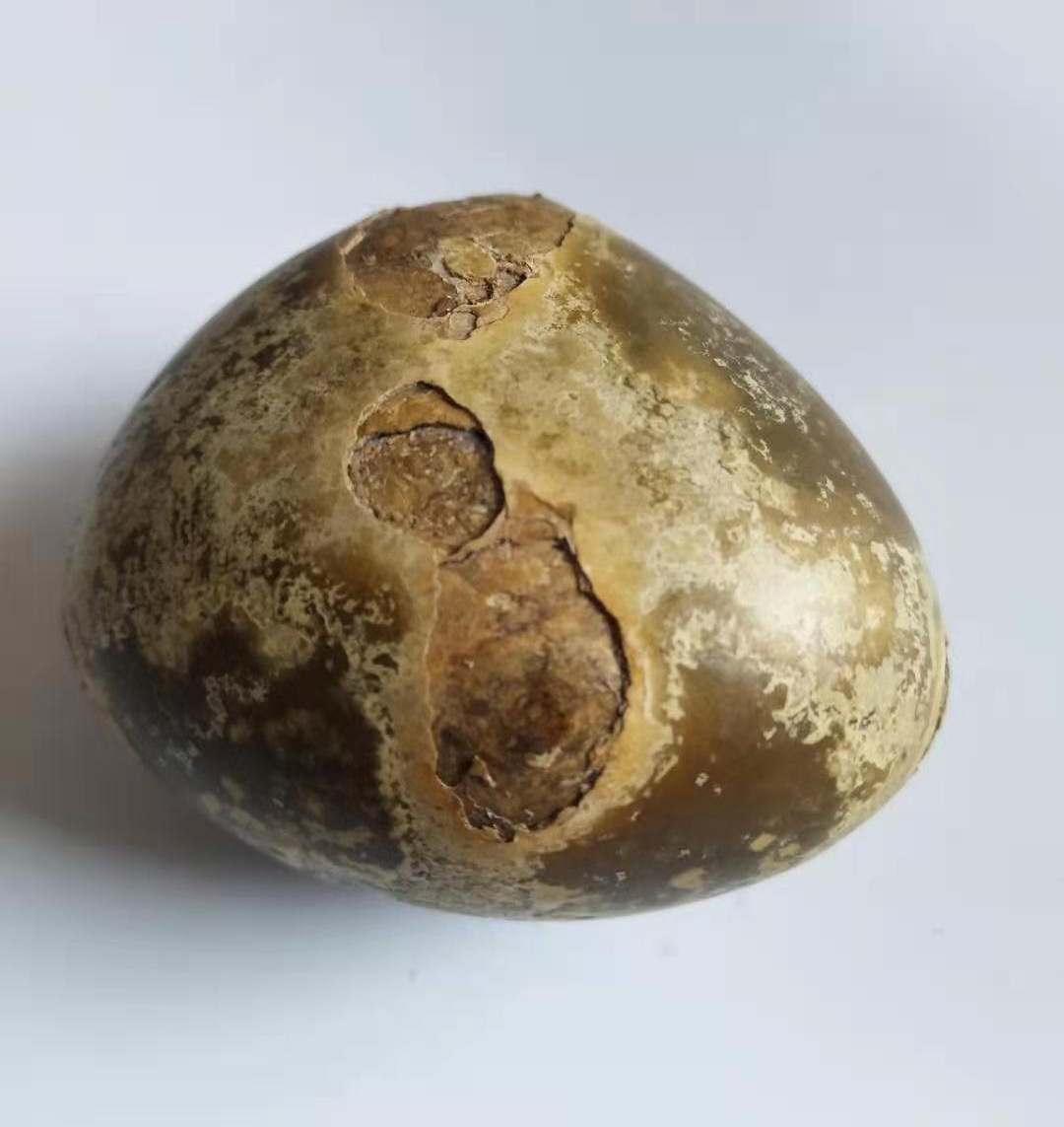 羊宝精品礼盒装,罕见精品羊宝图片