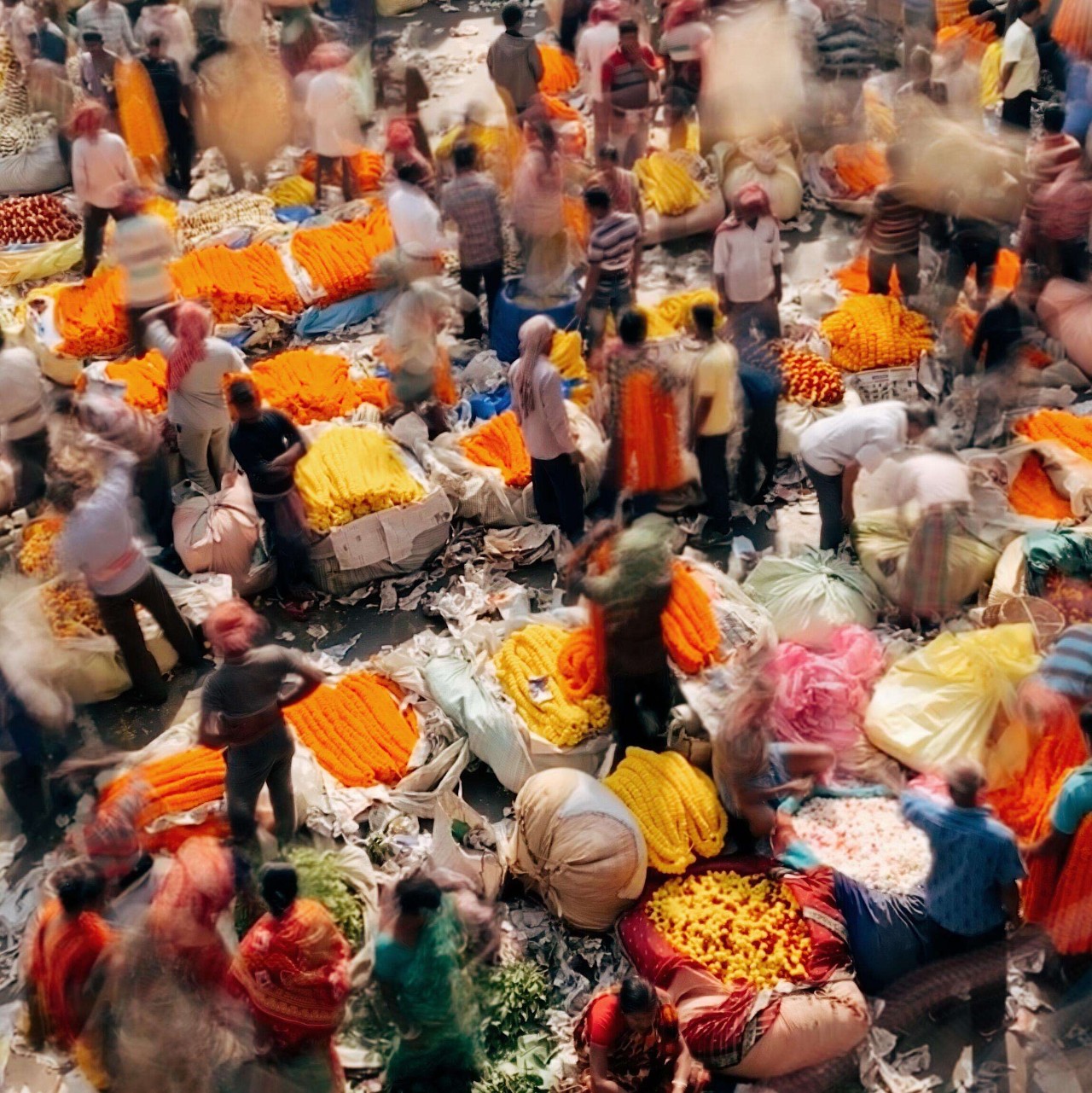 九条“不见得”，手机也能拍大片