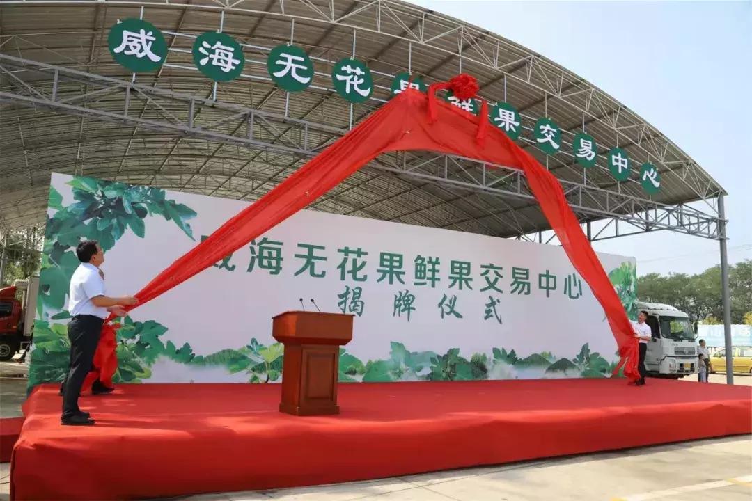 破解销售十大难题,破解农产品滞销问题