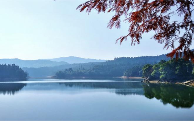 今年录取分数暴冷的三所大学,中国最扎心的211大学