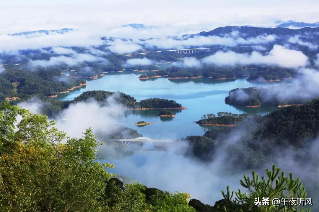 什么是麻精药品定义,什么是桃子女孩