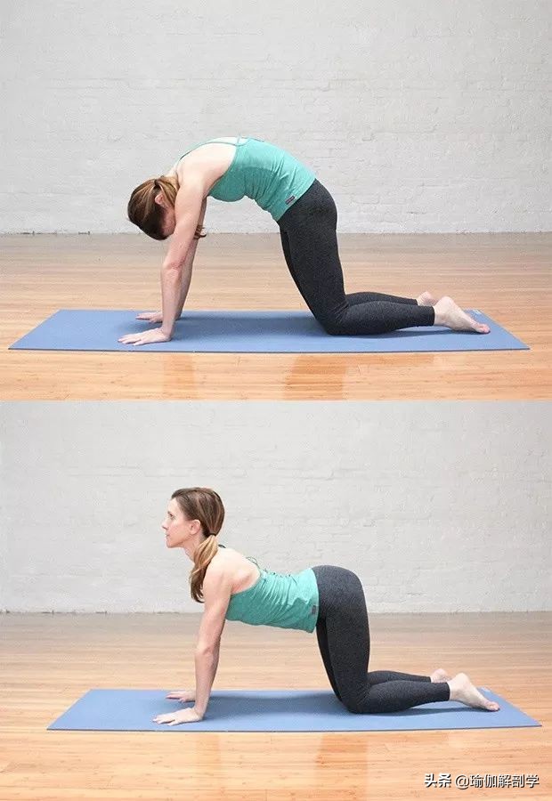 适合初学者在家做的简单瑜伽,这些瑜伽体式很适合在家做