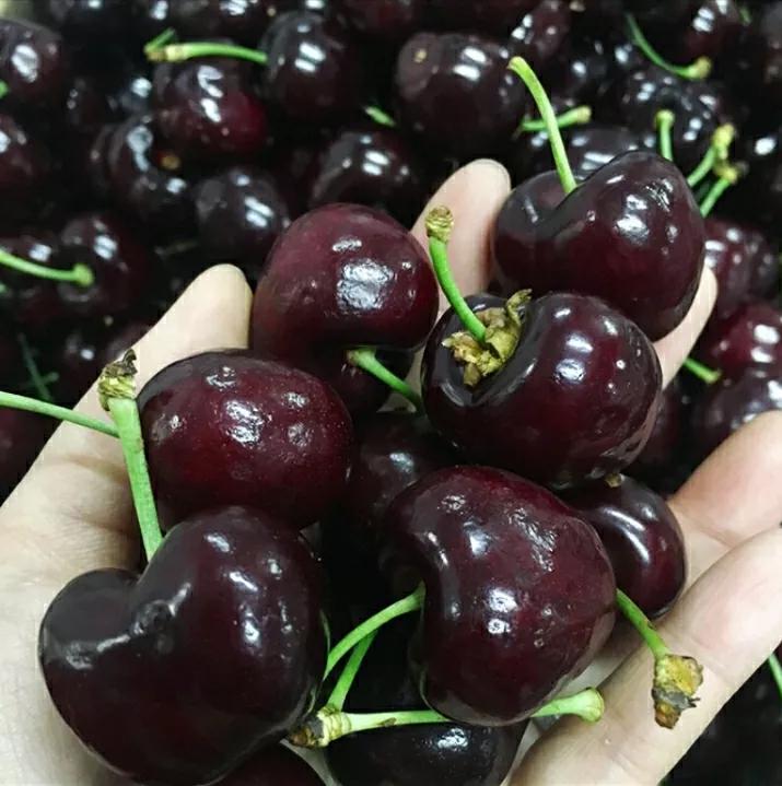 国产大樱桃为什么不叫车厘子,外国的车厘子是不是中国的大樱桃