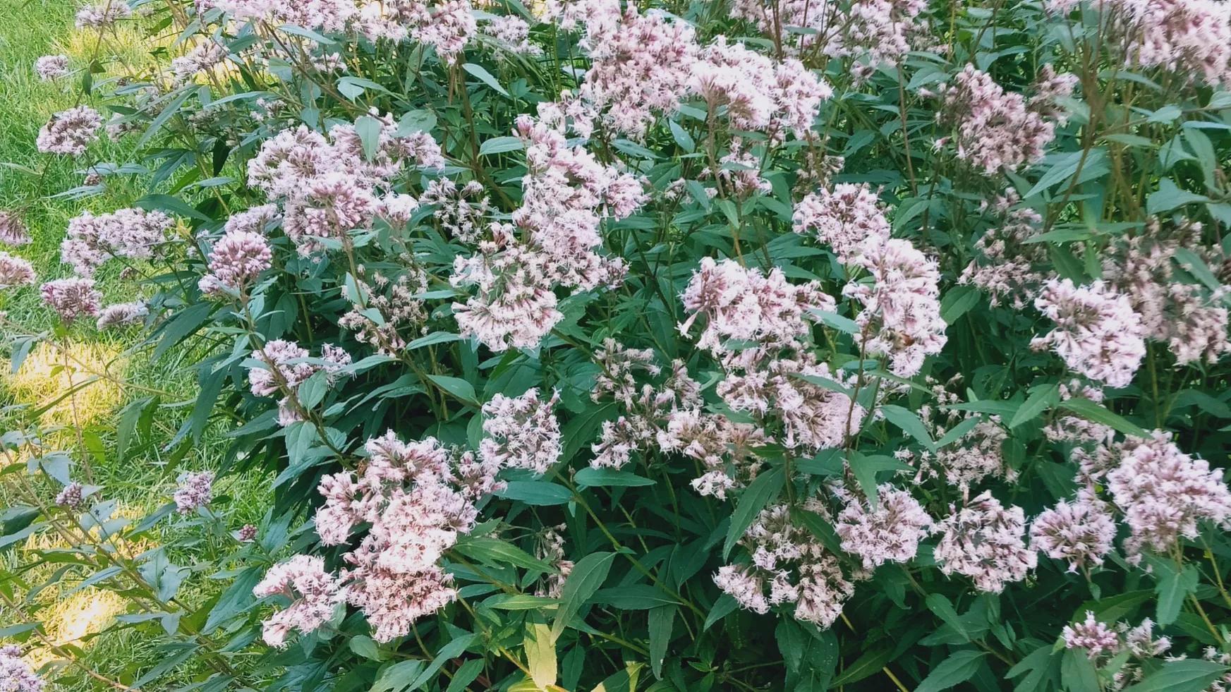 天坛公园内的科普园位置,天坛公园和国家自然博物馆