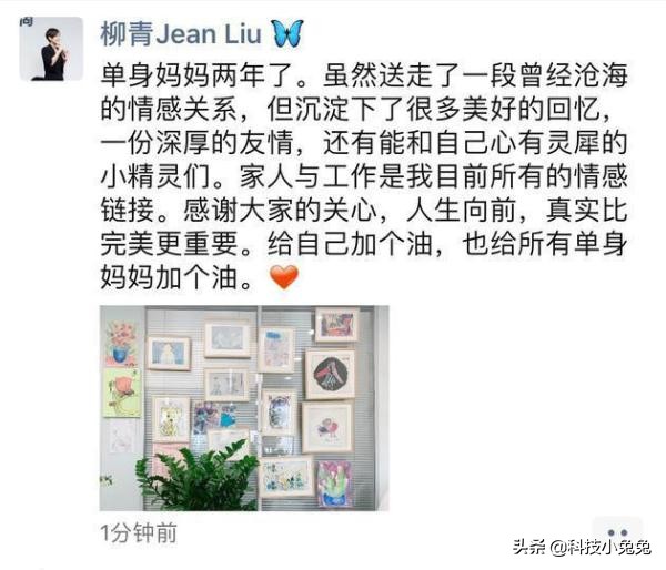 滴滴柳青公开表态,滴滴柳青个人家庭简历