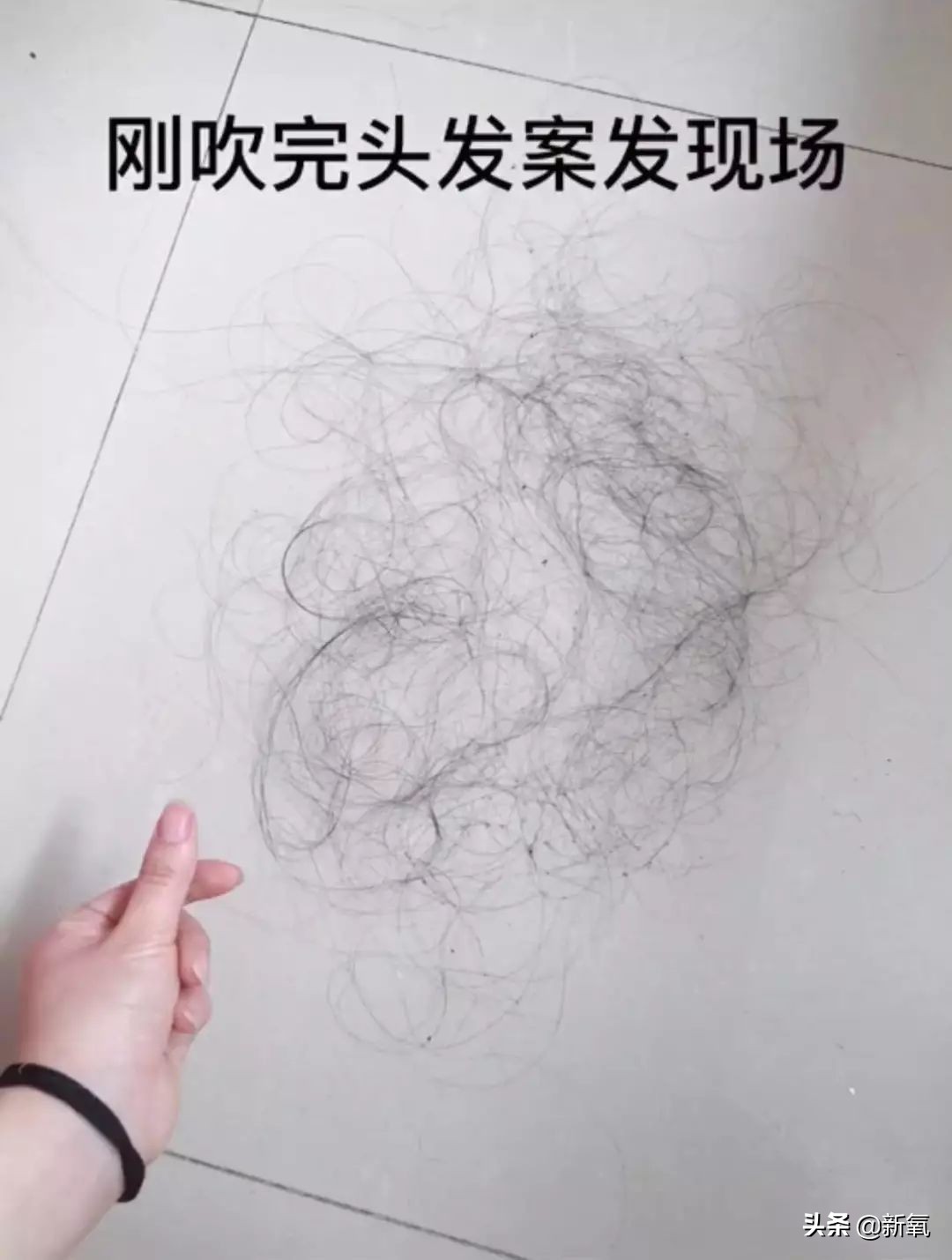 袁咏仪短发发型图片大全,袁咏仪发型短发