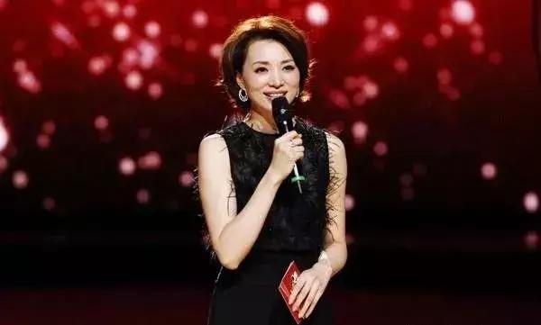 央视最漂亮6大女主持人名单,央视最优秀的5位主持人