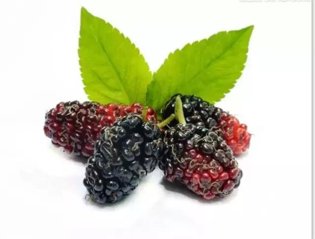 男人肾虚睡眠差吃什么药,男人肾虚精少用什么中成药