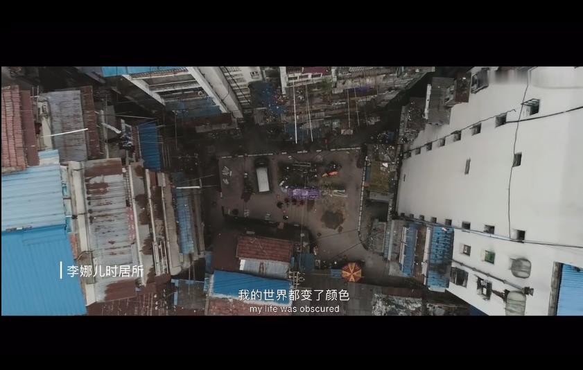 网球天后维纳斯,网球名将李娜