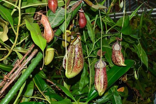 夏天给宝宝出门驱蚊用什么最好,夏天如何驱蚊不影响小宝宝