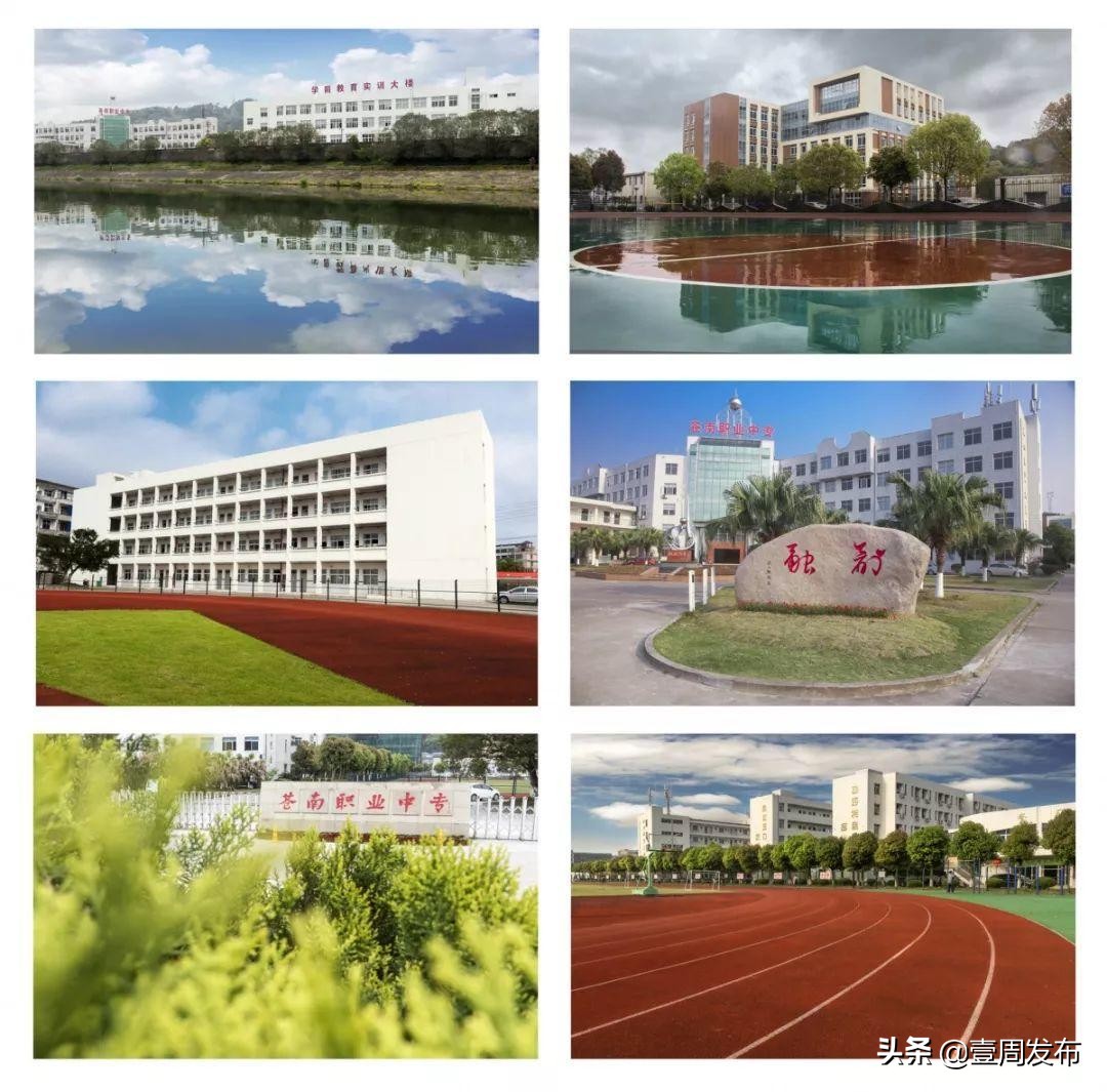 苍南县中等职业学校,苍南县职业中等专业学校开学时间