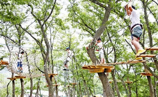 罗江赏梅花,罗江的礼物去哪买