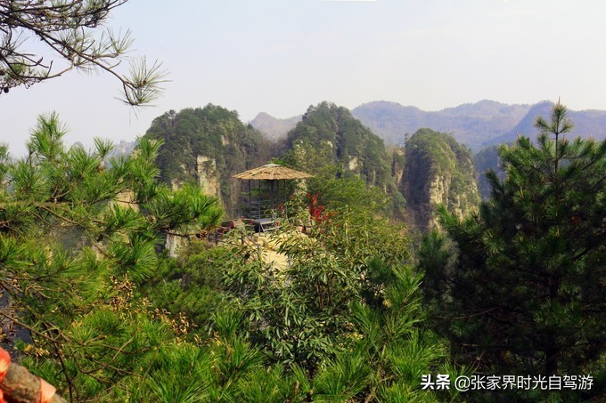 张家界森林公园亲子游攻略,张家界旅游攻略现在张家界气温