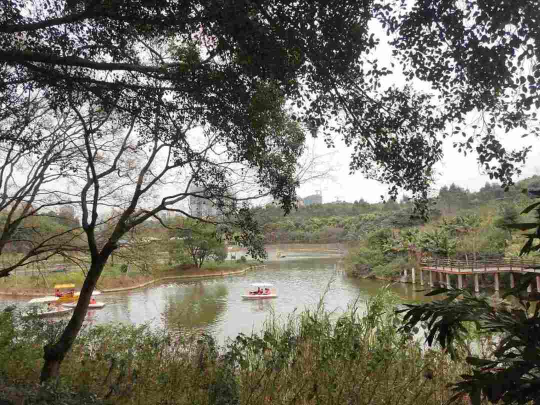 情知不久须相见，一日甚三秋，愁来不自由。‖马坝人遗址公园