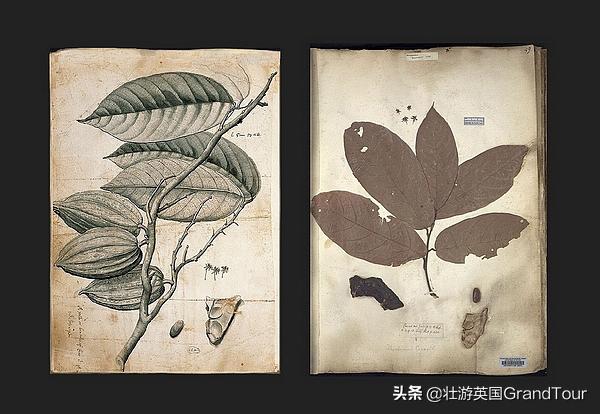 去大英博物馆要准备哪些东西,来大英