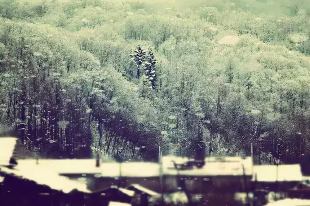 民国连环杀人案农村,山村血案真相纪实完整版