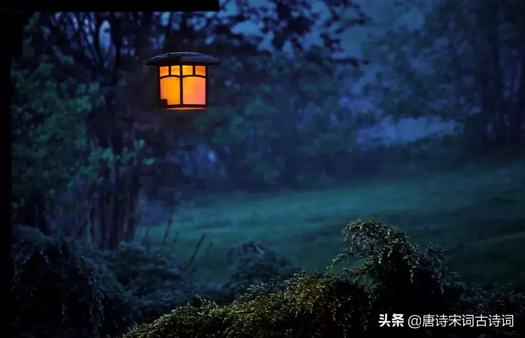 古诗喝茶的绝美诗句,诗词世上无难事