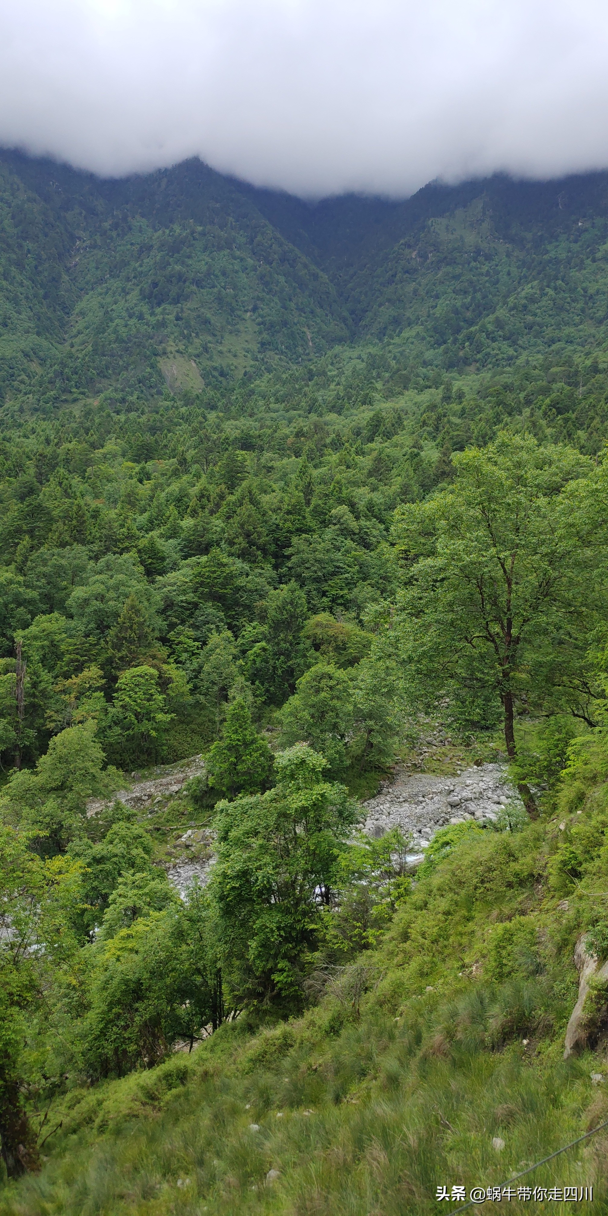 带小朋友出去看小动物,带小孩去海洋动物园