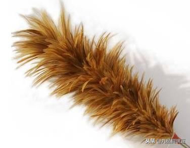 世界上最抢手的潮品,国际大牌潮品