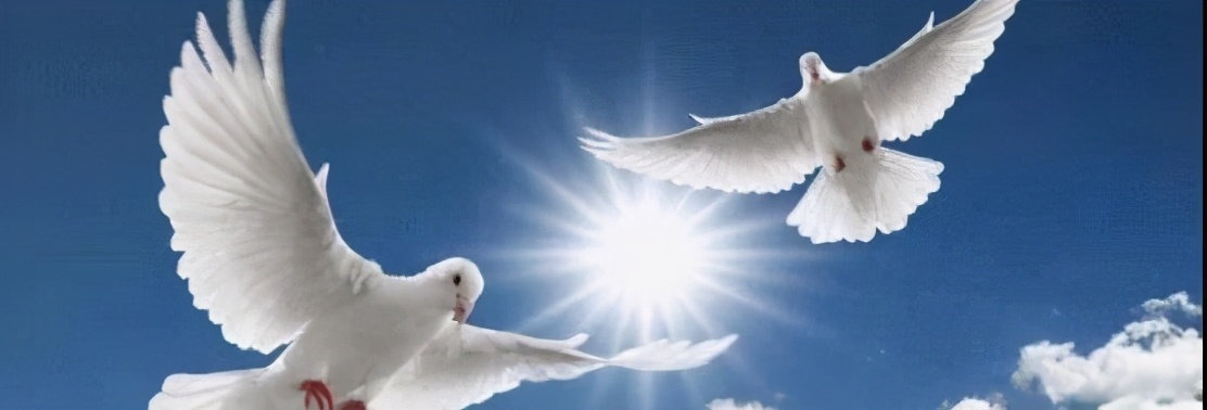 杭州湾新区学校内部,杭州湾新区投资最高的几所学校