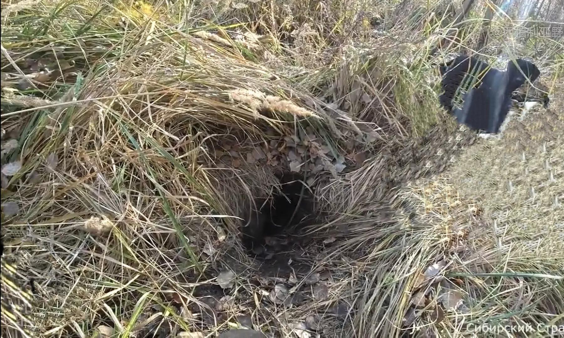 挑山的男人照片,挑山的男人免费阅读