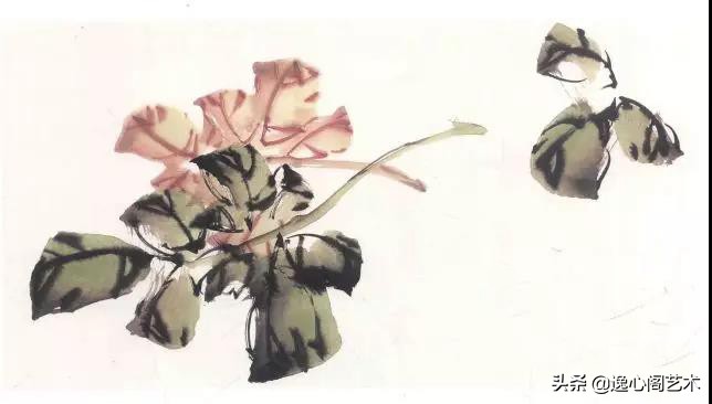 写意牡丹叶子画法步骤教程,王兮然写意牡丹画法视频大全