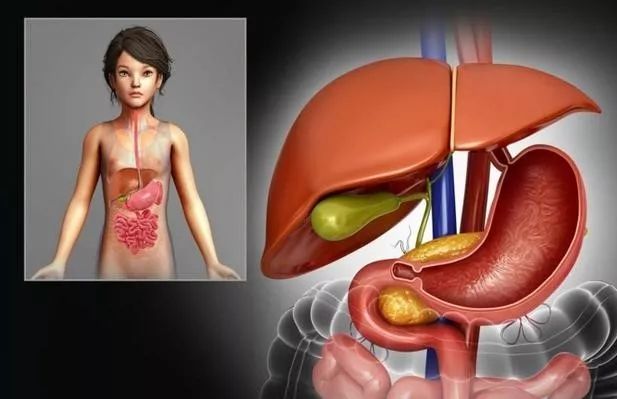 肝健康的8大表现,爆肝